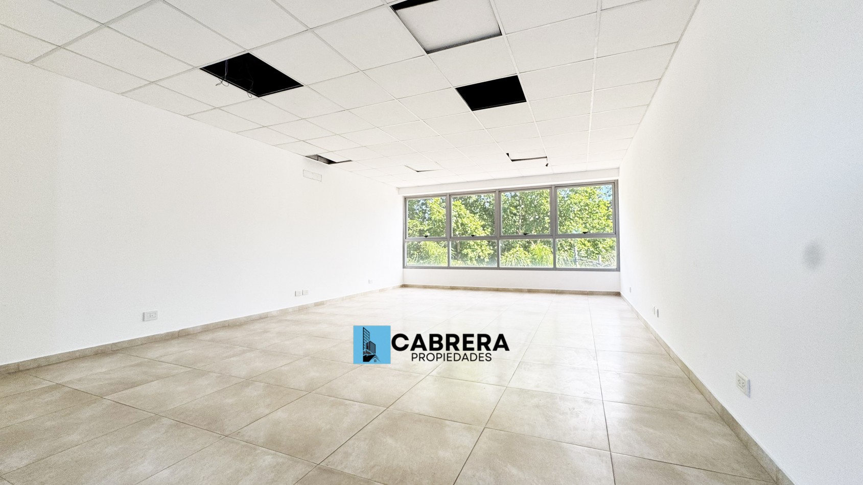 OFICINA EN ALQUILER, FRANCISCO ALVAREZ, MORENO